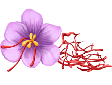 Saffron Treasures